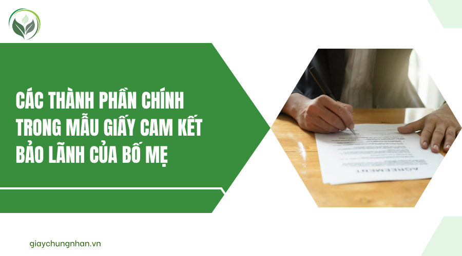 Các thành phần chính trong mẫu giấy cam kết bảo lãnh của bố mẹ