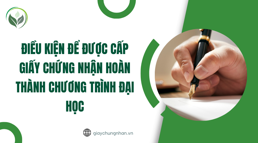 Điều kiện để được cấp giấy chứng nhận hoàn thành chương trình đại học