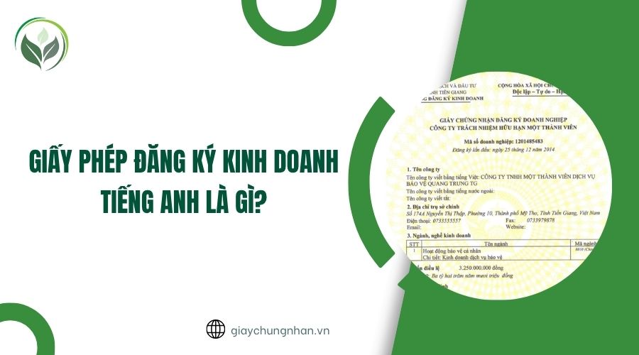 Giấy phép đăng ký kinh doanh tiếng Anh là gì?