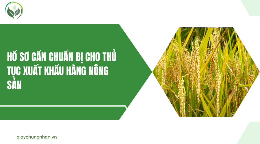 Hồ sơ cần chuẩn bị cho thủ tục xuất khẩu hàng nông sản
