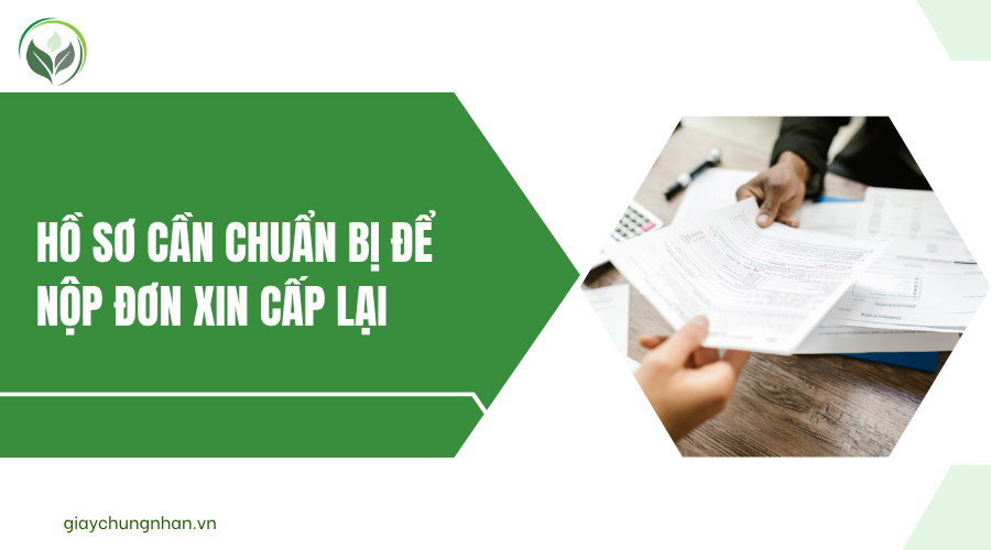 Hồ sơ cần chuẩn bị để nộp đơn xin cấp lại