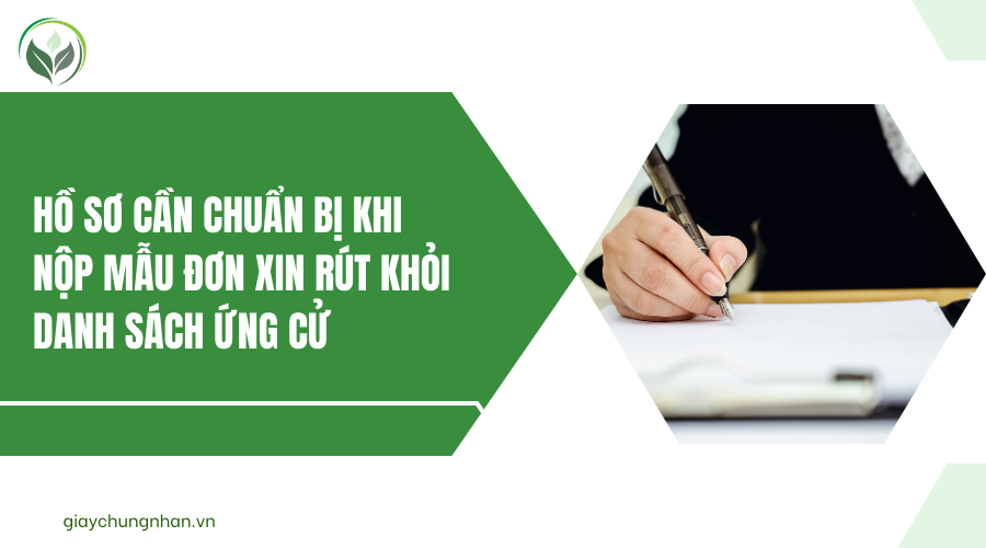 Hồ sơ cần chuẩn bị khi nộp mẫu đơn xin rút khỏi danh sách ứng cử