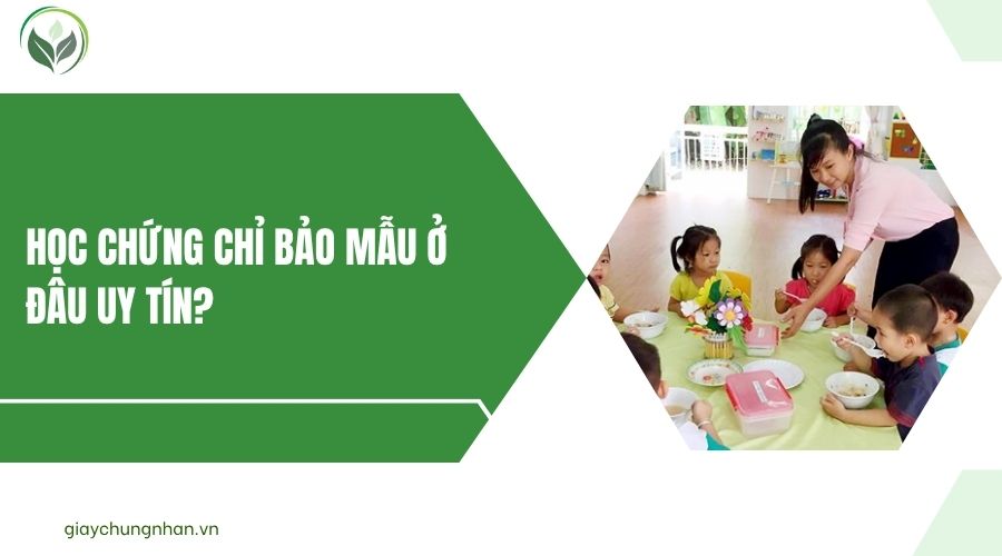Học chứng chỉ bảo mẫu ở đâu uy tín?