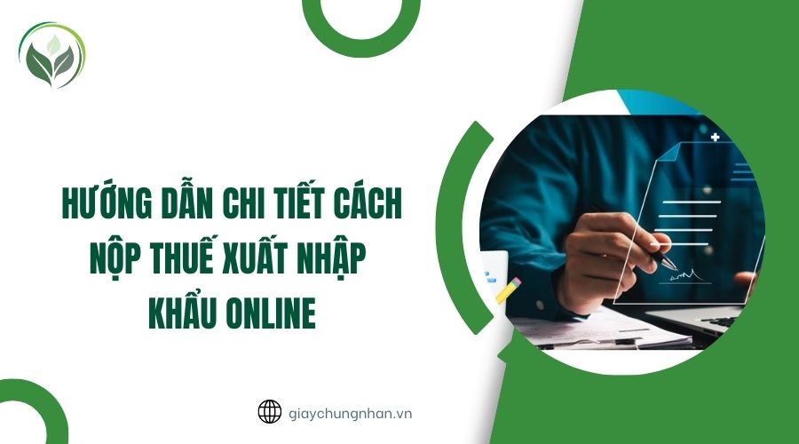 Hướng dẫn chi tiết cách nộp thuế xuất nhập khẩu online