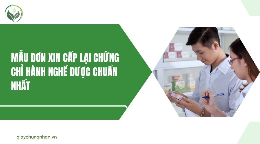 Mẫu đơn xin cấp lại chứng chỉ hành nghề Dược chuẩn nhất