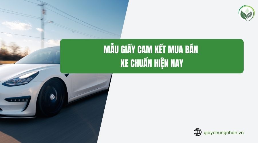 Mẫu giấy cam kết mua bán xe chuẩn hiện nay