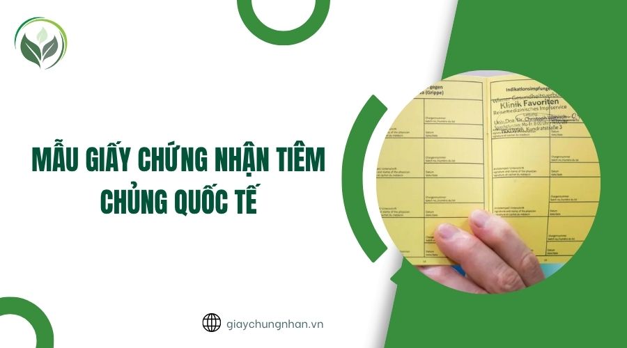 Mẫu giấy chứng nhận tiêm chủng quốc tế