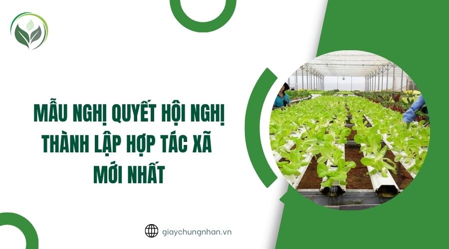 Mẫu nghị quyết hội nghị thành lập hợp tác xã mới nhất