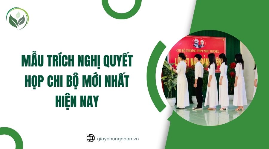 Mẫu trích nghị quyết họp chi bộ mới nhất hiện nay