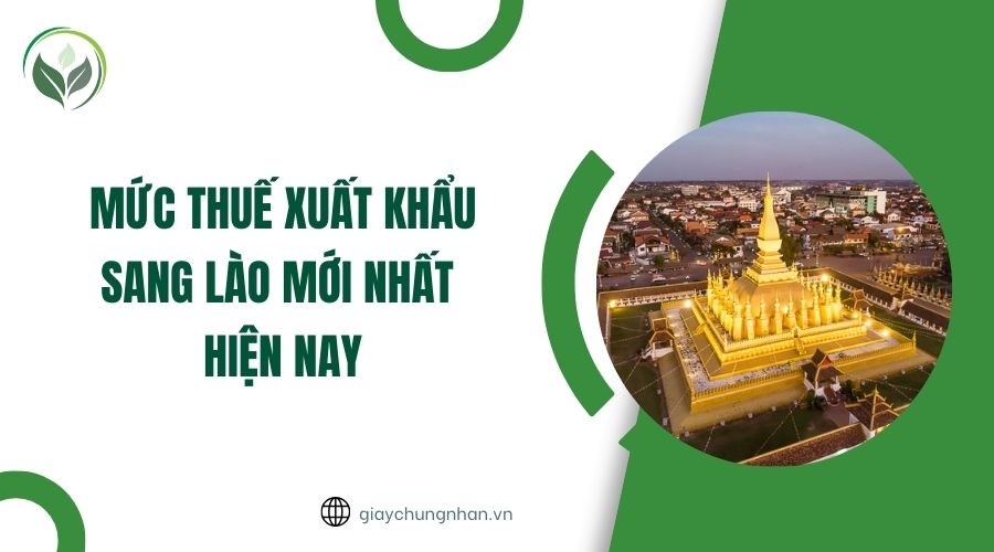 Mức thuế xuất khẩu sang Lào mới nhất hiện nay
