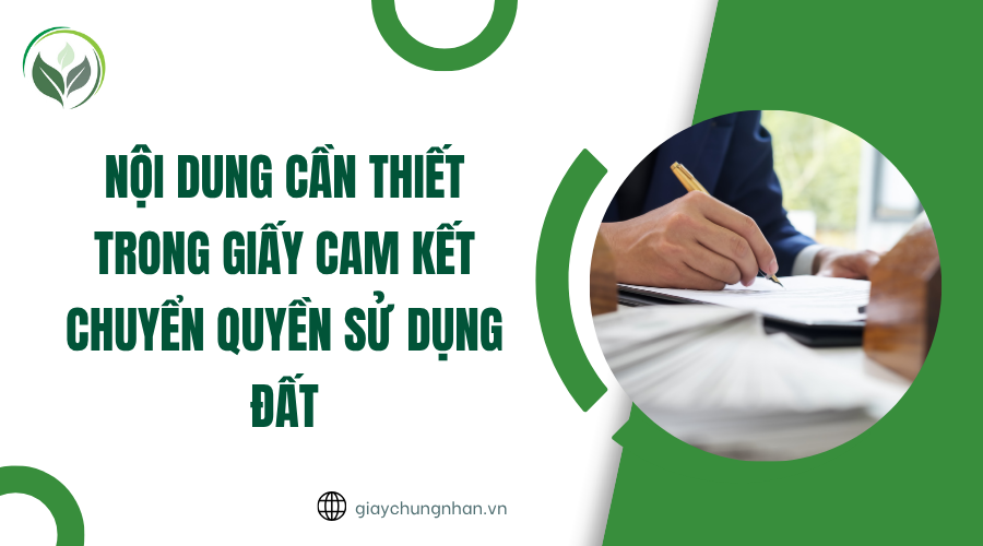 Nội dung cần thiết trong giấy cam kết chuyển quyền sử dụng đất