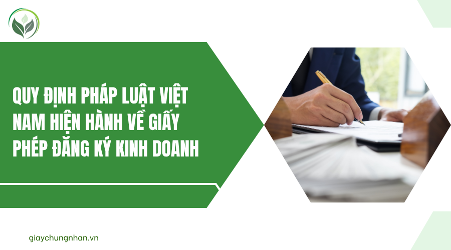Quy định pháp luật Việt Nam hiện hành về giấy phép đăng ký kinh doanh
