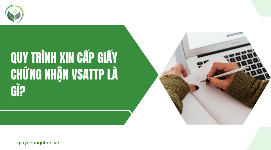 Vsattp Giấy chứng nhận VSATTP là gì? Tìm hiểu thêm