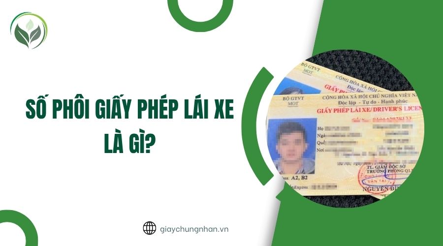 Số phôi giấy phép lái xe là gì?
