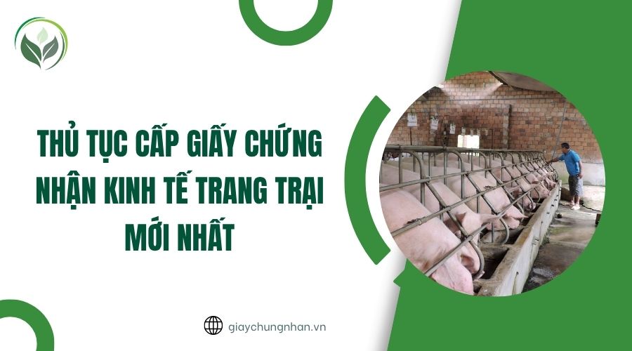 Thủ tục cấp giấy chứng nhận kinh tế trang trại mới nhất