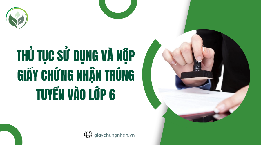 Thủ tục sử dụng và nộp giấy chứng nhận trúng tuyển vào lớp 6