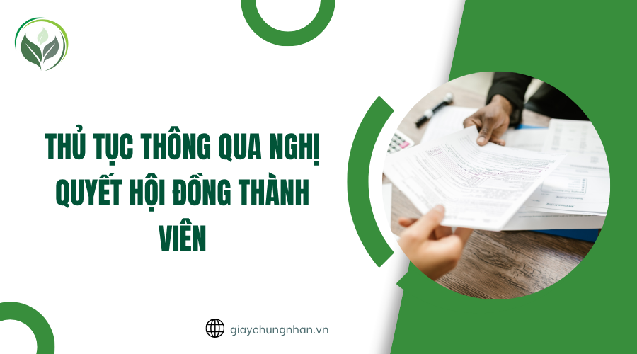 Thủ tục thông qua nghị quyết hội đồng thành viên
