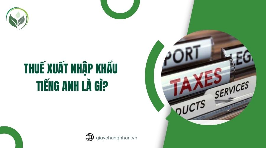 Thuế xuất nhập khẩu tiếng Anh là gì?