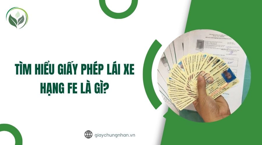 Tìm hiểu giấy phép lái xe hạng FE là gì?