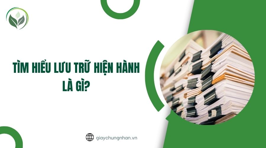 Tìm hiểu lưu trữ hiện hành là gì?