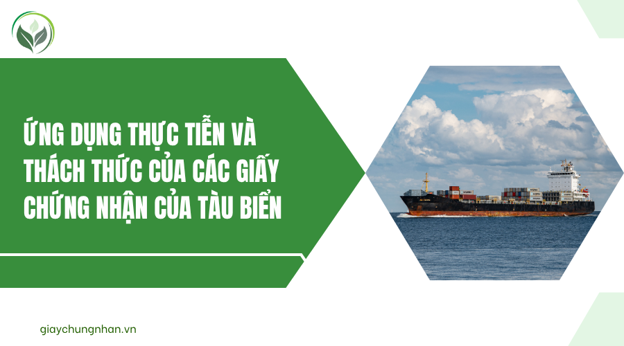 Ứng dụng thực tiễn và thách thức của các giấy chứng nhận của tàu biển