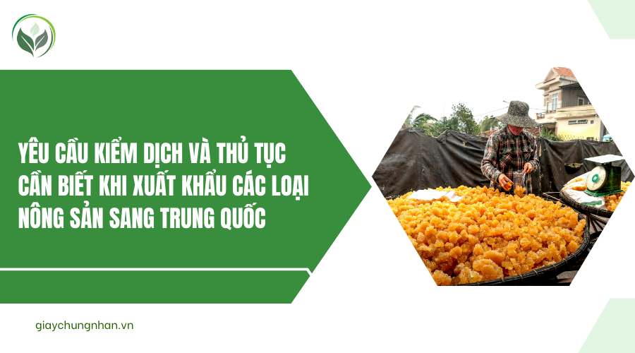 Yêu cầu kiểm dịch và thủ tục cần biết khi xuất khẩu các loại nông sản sang Trung Quốc