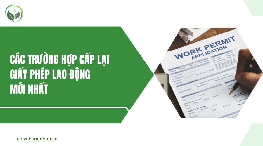 Các trường hợp cấp lại giấy phép lao động mới nhất