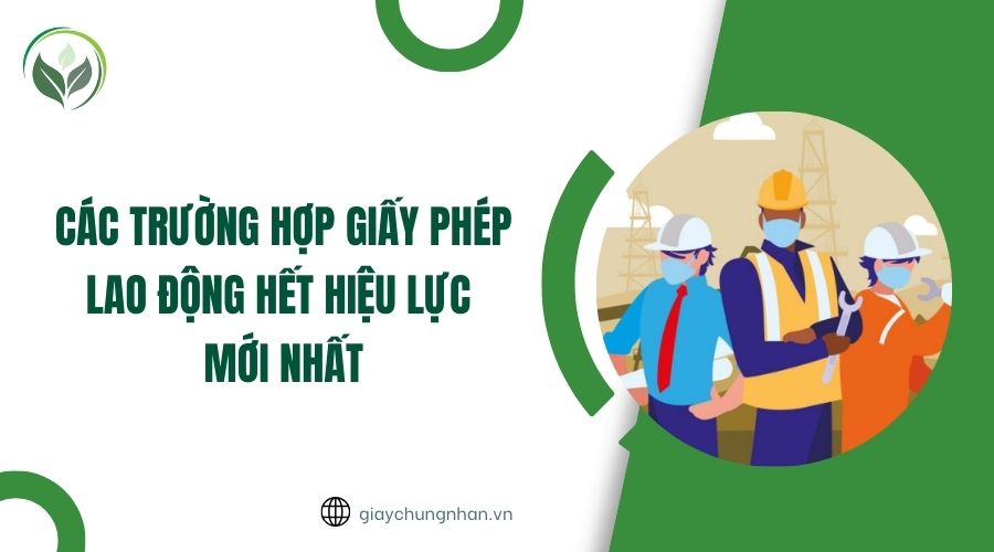 Các trường hợp giấy phép lao động hết hiệu lực mới nhất