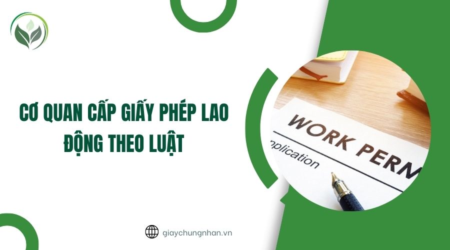 Cơ quan cấp giấy phép lao động theo luật