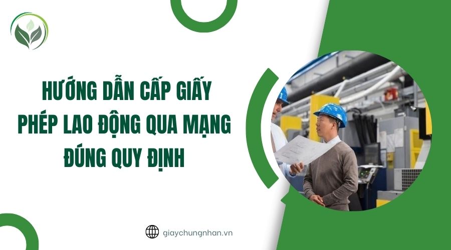 Hướng dẫn cấp giấy phép lao động qua mạng đúng quy định