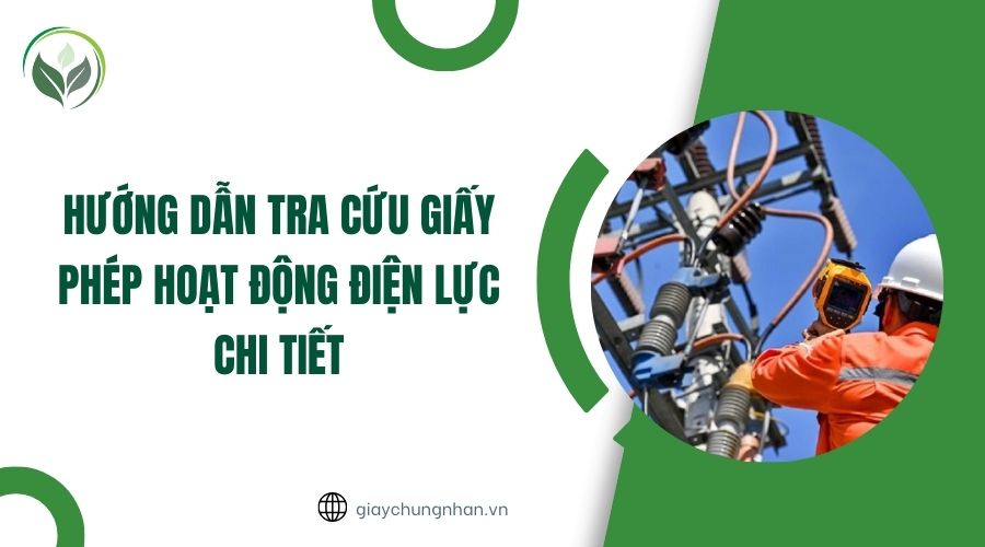Hướng dẫn tra cứu giấy phép hoạt động điện lực chi tiết