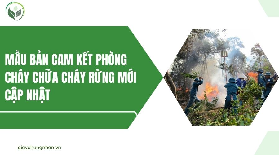 Mẫu bản cam kết phòng cháy chữa cháy rừng mới cập nhật
