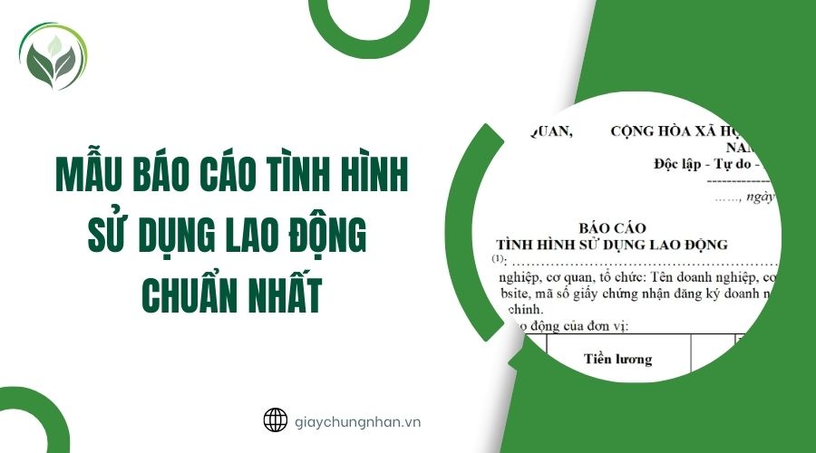 Mẫu báo cáo tình hình sử dụng lao động chuẩn nhất