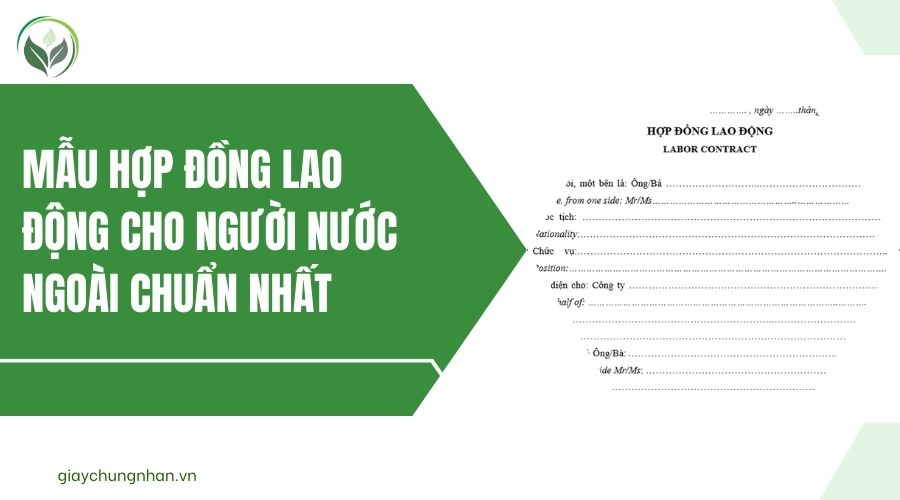 Mẫu hợp đồng lao động cho người nước ngoài chuẩn nhất
