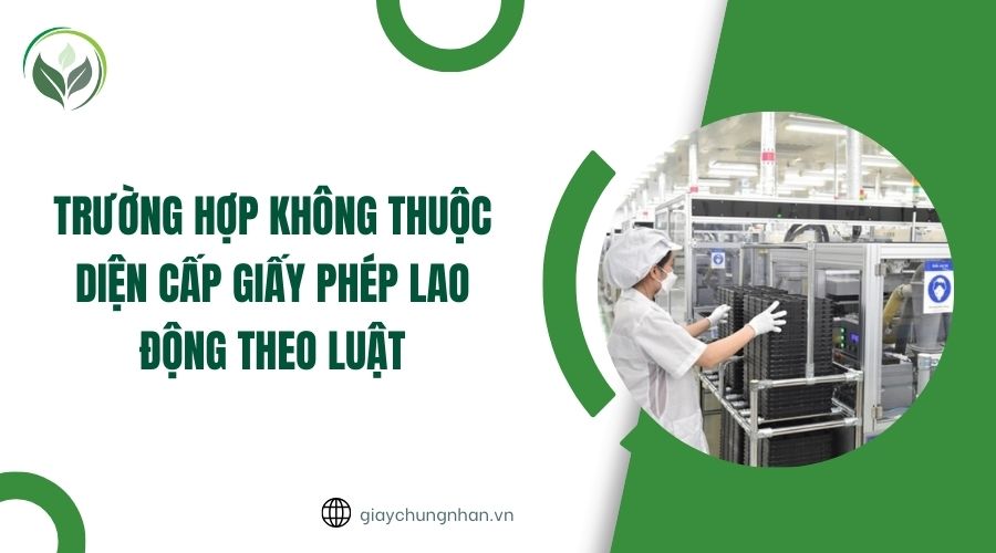 Trường hợp không thuộc diện cấp giấy phép lao động theo luật