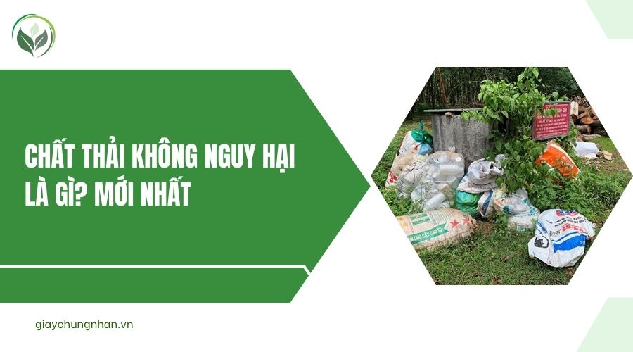 Chất thải không nguy hại là gì? Mới nhất