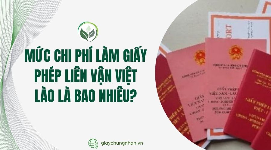 Mức chi phí làm giấy phép liên vận Việt Lào là bao nhiêu?