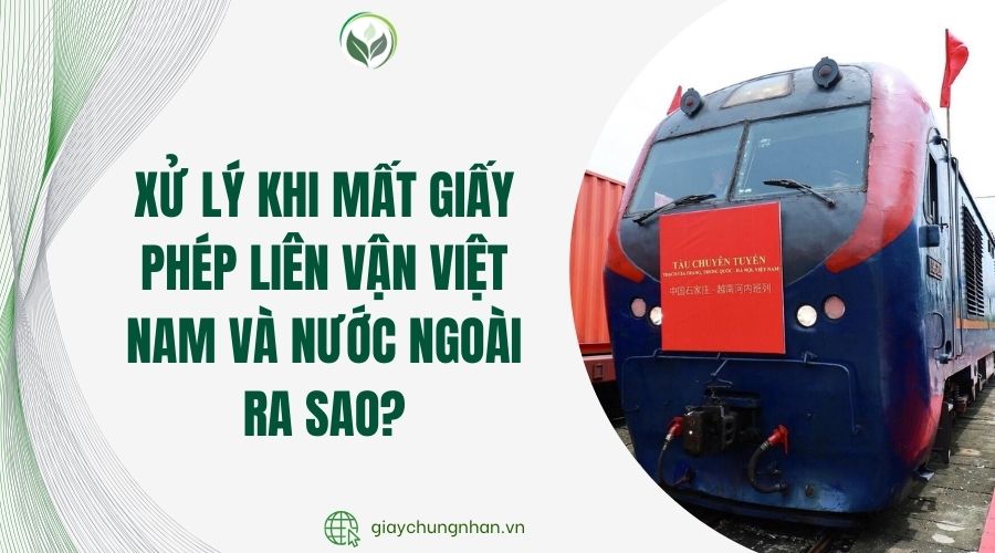 Xử lý khi mất giấy phép liên vận Việt Nam và nước ngoài ra sao?