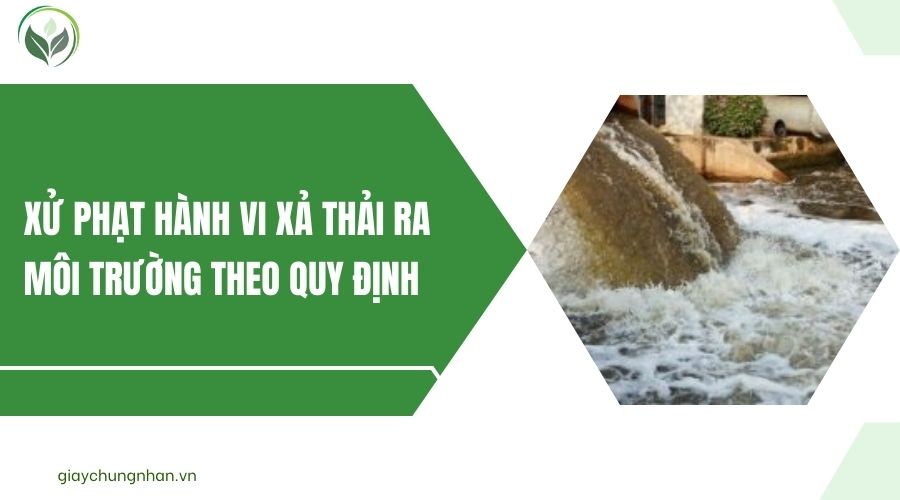 Xử phạt hành vi xả thải ra môi trường theo quy định
