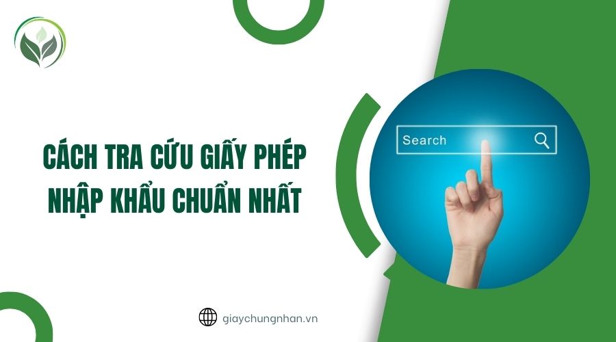 Cách tra cứu giấy phép nhập khẩu chuẩn nhất