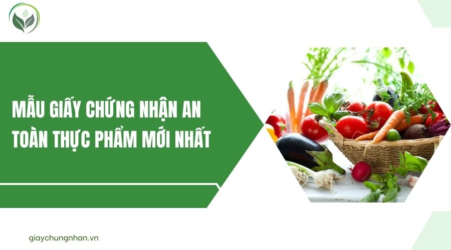 Mẫu giấy chứng nhận an toàn thực phẩm mới nhất