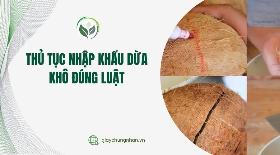 Thủ tục nhập khẩu dừa khô đúng luật