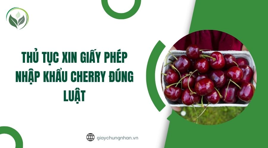 Thủ tục xin giấy phép nhập khẩu cherry đúng luật