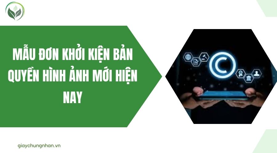 Mẫu đơn khởi kiện bản quyền hình ảnh mới hiện nay