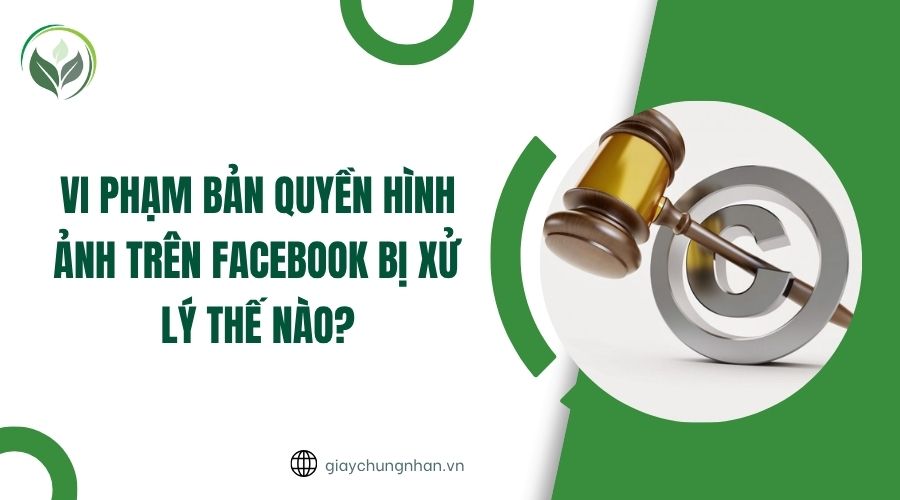 Vi phạm bản quyền hình ảnh trên Facebook bị xử lý thế nào?