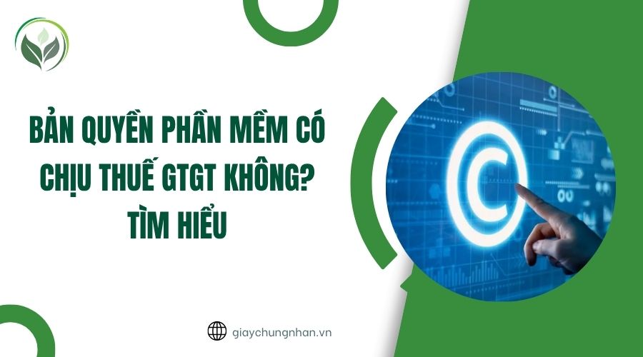 Bản quyền phần mềm có chịu thuế GTGT không? Tìm hiểu