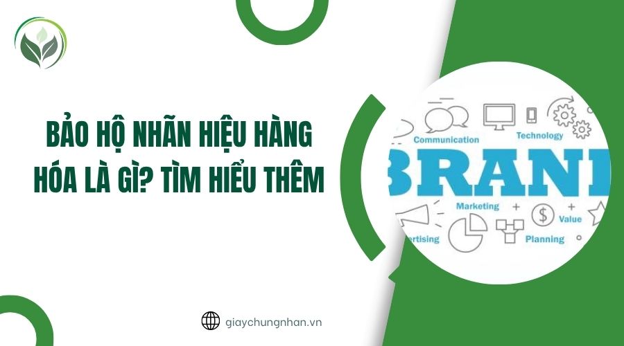 Bảo hộ nhãn hiệu hàng hóa là gì? Tìm hiểu thêm