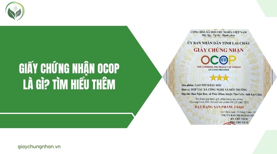 Giấy chứng nhận OCOP là gì? Tìm hiểu thêm