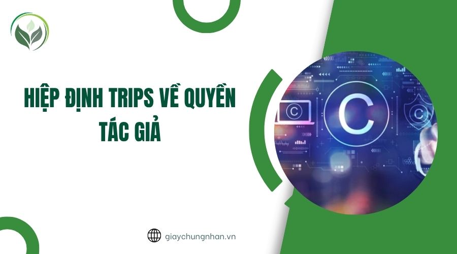 Hiệp định TRIPS về quyền tác giả