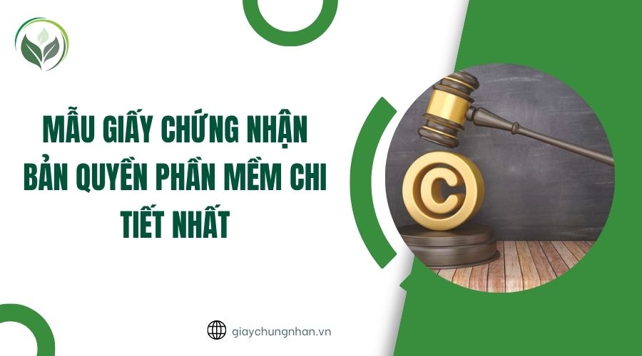 Mẫu giấy chứng nhận bản quyền phần mềm chi tiết nhất